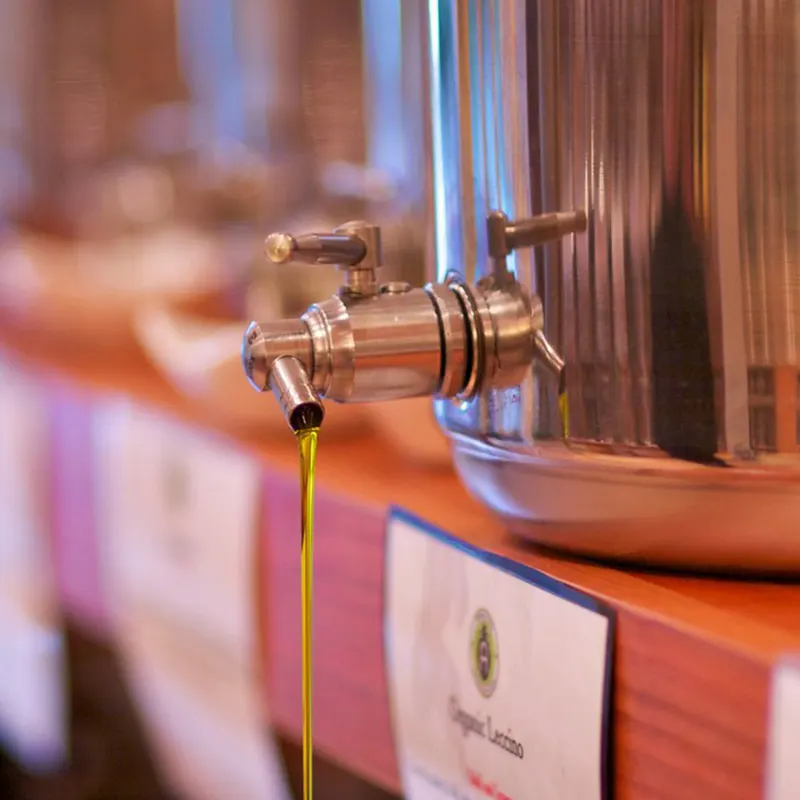 Amphora Nueva